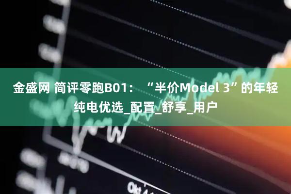 金盛网 简评零跑B01： “半价Model 3”的年轻纯电优选_配置_舒享_用户
