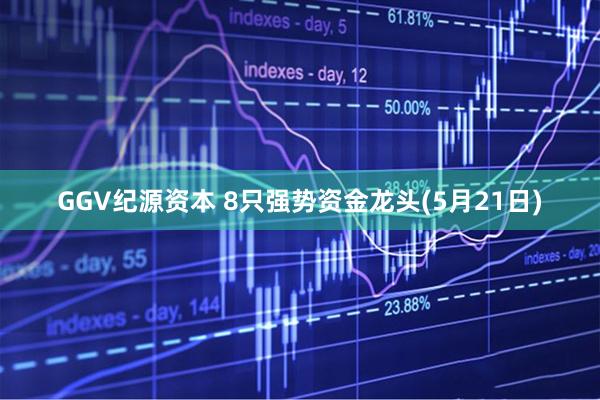 GGV纪源资本 8只强势资金龙头(5月21日)