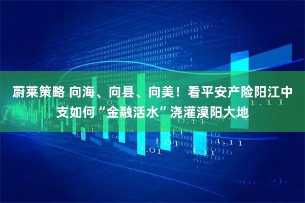 蔚莱策略 向海、向县、向美！看平安产险阳江中支如何“金融活水”浇灌漠阳大地