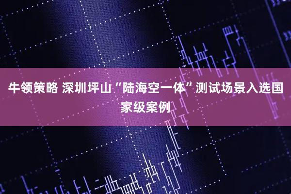 牛领策略 深圳坪山“陆海空一体”测试场景入选国家级案例