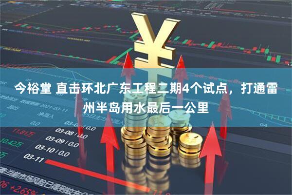 今裕堂 直击环北广东工程二期4个试点，打通雷州半岛用水最后一公里